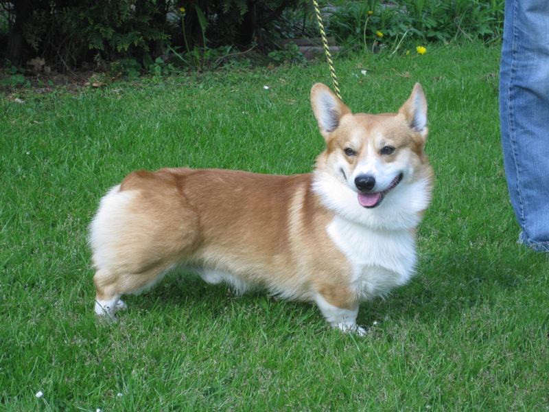 Reuben
